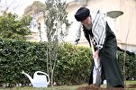 El ayatolá Jamenei planta un olivo en solidaridad con Palestina (+FOTOS)