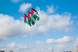 尼日利亚人民要求联合国承认巴勒斯坦国