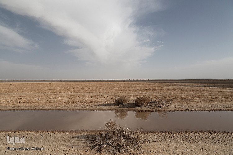 تالاب بی آب و پرنده گاوخونی را دریابیم!