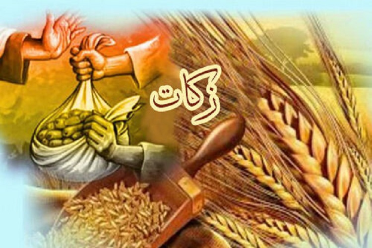 جمعآوری 16 میلیارد زکات در کهگیلویه جمعآوری 16 میلیارد زکات در کهگیلویه