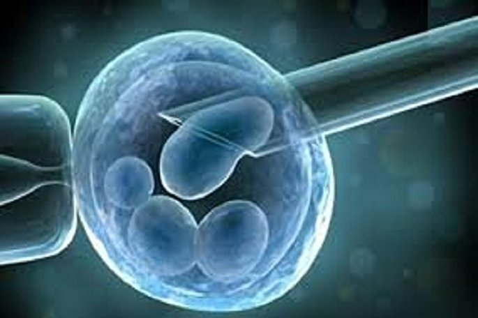 حرکت پرشتاب جهاددانشگاهی قم به سمت تولیدات نوآورانه