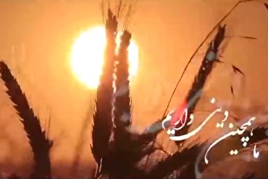 فیلم | مهربانی با اسیر