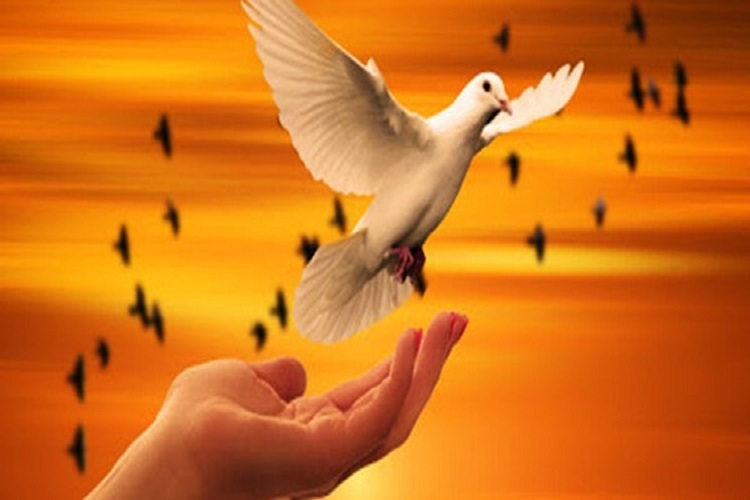 رهایی از چوبه دار