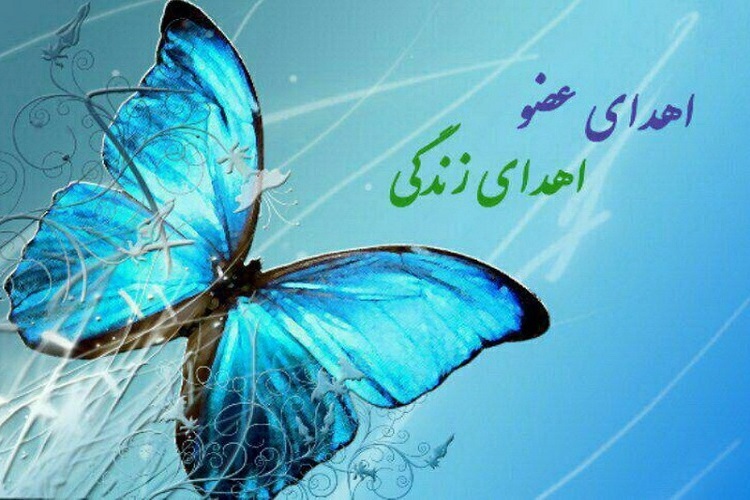 اهدای عضو