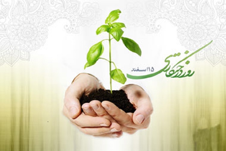 برنامههای هفته منابع طبیعی روز درختکاری برنامههای هفته منابع طبیعی روز درختکاری