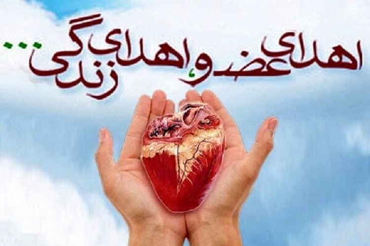 اهدای عضو اهدای زندگی اهدای عضو اهدای زندگی