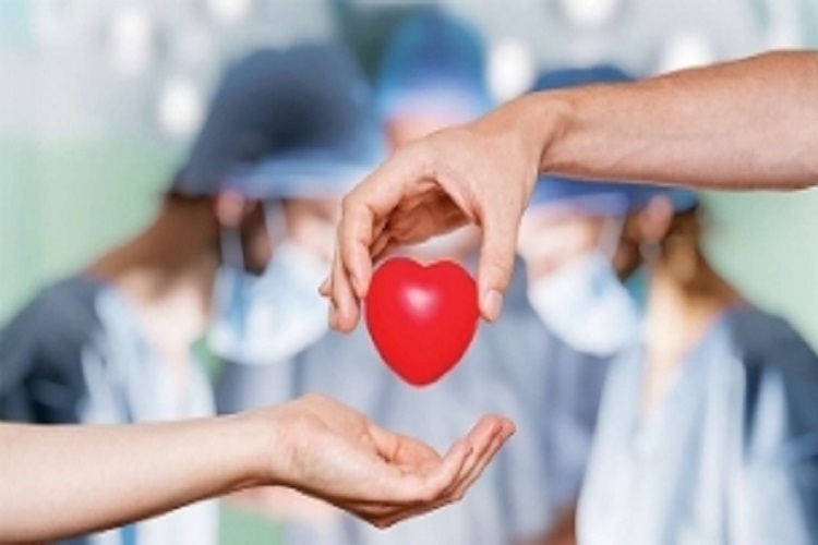 اهدای عضو اهدای زندگی