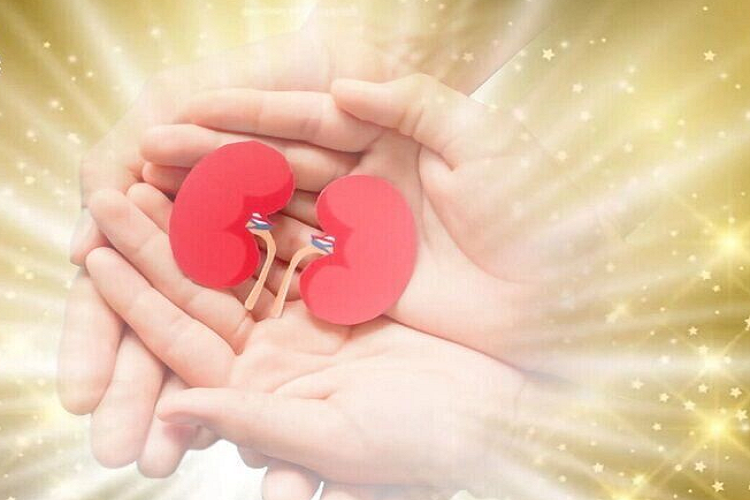 اهدای عضو، اهدای زندگی اهدای عضو، اهدای زندگی