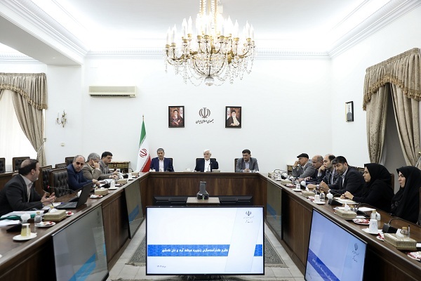 طرح اصلاح زنجیره عرضه آرد و نان در دستور کار دولت است