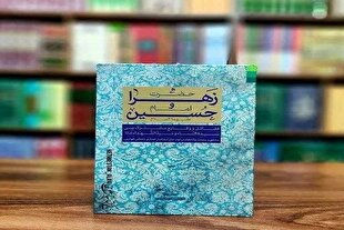از نور تا زمین؛ بررسی پیوند تربیتی و معنوی حضرت زهرا(س) و امام حسین(ع)