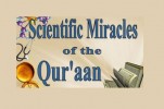 Seminario sui "miracoli scientifici del Corano" in Egitto