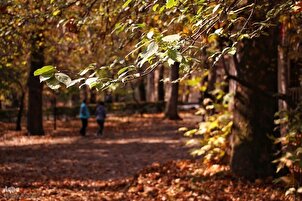Sinfonia dell'autunno a Tehran