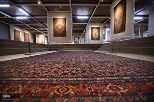 Iran: Museo del tappeto