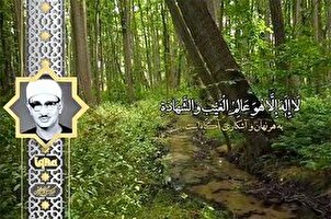 Recitazioni celesti: Siddiq Minshawi recita versi della Surah Al-Hashr