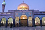 د حضرت زینب(س) له حرم سره شاوخوا کې د تحریرالشام نوی مثبت اقدام