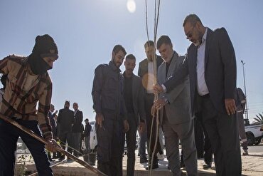 Erbain güzergahında ağaçlandırma çalışmaları yapılıyor