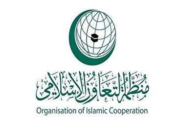 伊斯兰合作组织强调投资清真旅游